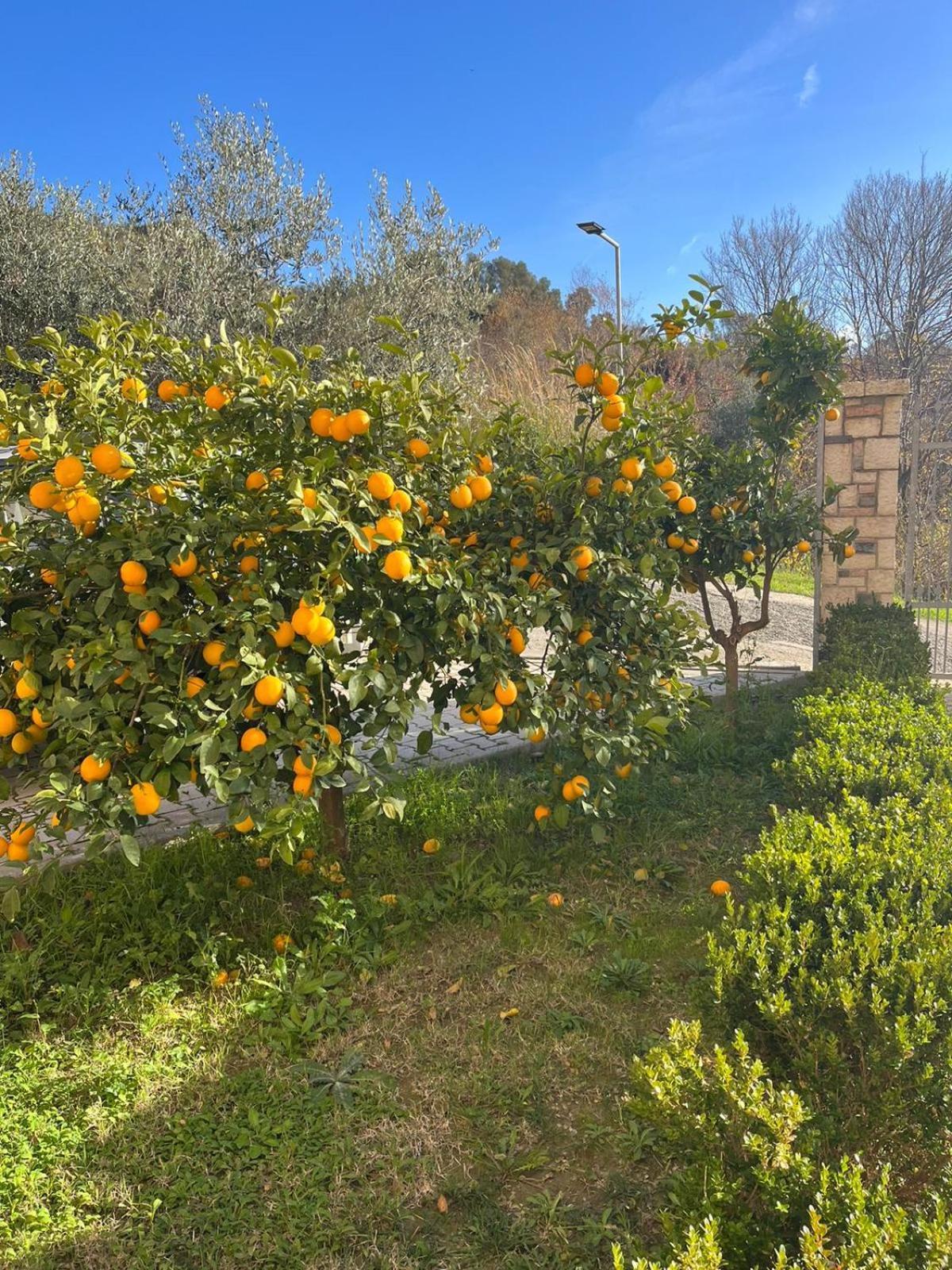 Villa Dei Limoni Škalngur Exterior foto